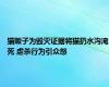 猫贩子为毁灭证据将猫扔水沟淹死 虐杀行为引众怒