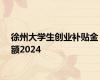 徐州大学生创业补贴金额2024