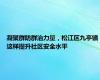 凝聚群防群治力量，松江区九亭镇这样提升社区安全水平