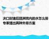 决口封堵后团洲垸内的水怎么排 专家提出两种外排方案