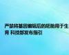 严禁将基因编辑后的胚胎用于生育 科技部发布指引