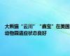 大熊猫“云川”“鑫宝”在美国动物园适应状态良好