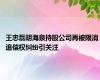 王忠磊胡海泉持股公司再被限消 追偿权纠纷引关注