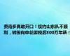 费南多真敢开口！续约山东队不顺利，转投向申花要税后800万年薪！