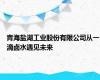 青海盐湖工业股份有限公司从一滴卤水遇见未来