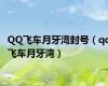 QQ飞车月牙湾封号（qq飞车月牙湾）