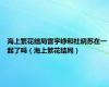 海上繁花结局雷宇峥和杜晓苏在一起了吗（海上繁花结局）