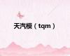 天汽模（tqm）