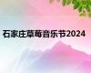 石家庄草莓音乐节2024