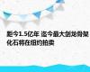 距今1.5亿年 迄今最大剑龙骨架化石将在纽约拍卖