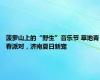 菠萝山上的“野生”音乐节 草地青春派对，济南夏日新宠