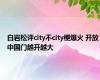 白岩松评city不city梗爆火 开放中国门越开越大