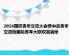 2024国际青年交流大会暨中美青年交流营国际青年大联欢圆满举