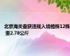 北京海关查获违规入境植株12株 重2.78公斤