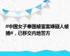 #中国女子泰国被害案嫌疑人被捕#，已移交内地警方