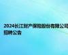 2024长江财产保险股份有限公司招聘公告