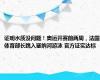 证明水质没问题！奥运开赛前两周，法国体育部长跳入塞纳河游泳 官方证实达标