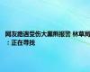 网友路遇受伤大黑熊报警 林草局：正在寻找