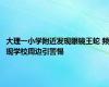 大理一小学附近发现眼镜王蛇 频现学校周边引警惕