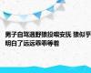 男子自驾遇野狼投喂安抚 狼似乎明白了远远乖乖等着