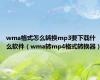 wma格式怎么转换mp3要下载什么软件（wma转mp4格式转换器）