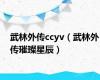 武林外传ccyv（武林外传璀璨星辰）