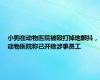 小狗在动物医院被殴打掉地颤抖，动物医院称已开除涉事员工