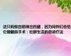 这只蚂蚁自愿伸出伤腿，因为同伴们会给它做截肢手术：社群生活的奇迹疗法