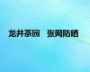 龙井茶园   张网防晒