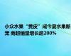 小众水果“黄皮”成今夏水果新宠 商超销量增长超200%