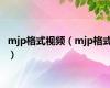 mjp格式视频（mjp格式）