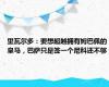 里瓦尔多：要想超越拥有姆巴佩的皇马，巴萨只是签一个尼科还不够