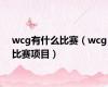 wcg有什么比赛（wcg比赛项目）