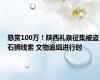 悬赏100万！陕西礼泉征集被盗石狮线索 文物追缉进行时