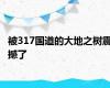 被317国道的大地之树震撼了