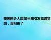 美国国会大厦降半旗引发离谱猜想，真相来了