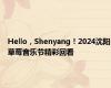 Hello，Shenyang！2024沈阳草莓音乐节精彩回看