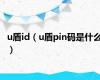 u盾id（u盾pin码是什么）