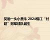 奖励一头小黄牛 2024榕江“村超”冠军球队诞生