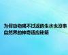 为何动物喝不过滤的生水也没事 自然界的神奇适应秘籍