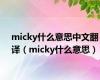 micky什么意思中文翻译（micky什么意思）