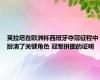 莫拉塔在欧洲杯西班牙夺冠征程中扮演了关键角色 冠军拼图的证明