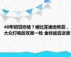 40年销冠终结？被比亚迪击败后，大众打响反攻第一枪 金标能否逆袭