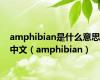 amphibian是什么意思中文（amphibian）