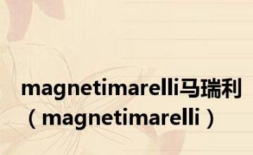 magnetimarelli马瑞利（magnetimarelli）