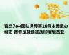 青岛为中国队世预赛10月主场承办城市 青春足球场迎战印度尼西亚