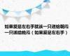 如果爱是左右手就该一只递给朝霞一只递给晚霞（如果爱是左右手）