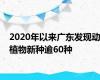 2020年以来广东发现动植物新种逾60种