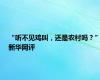 “听不见鸡叫，还是农村吗？”新华网评