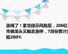 涨嗨了！紧急提示风险后，200亿市值龙头又触及涨停，7月份累计涨超260%